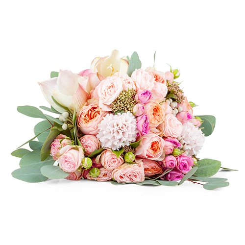 Bouquet Marina